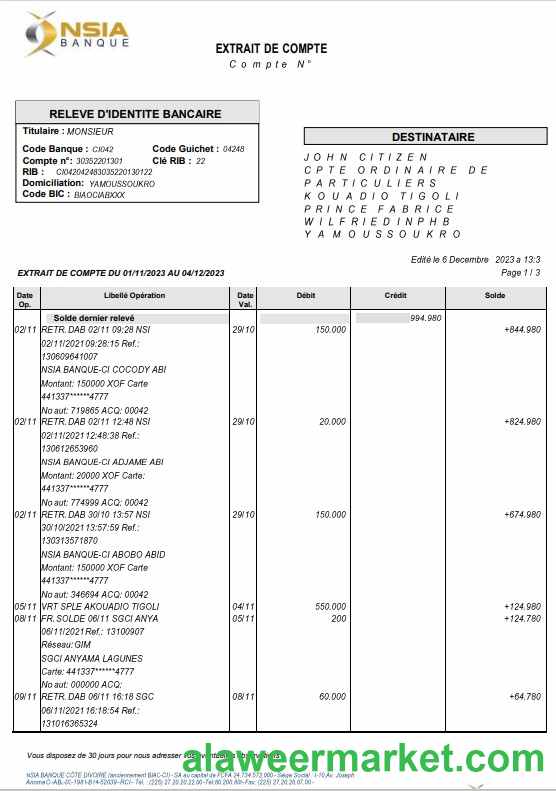 France NSIA Banque statement Word and PDF template, 4 pages